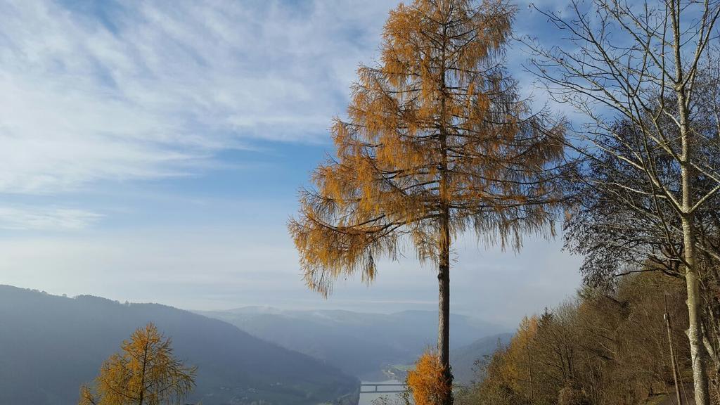 Landhaus Falkner Hofkirchen im Mühlkreis Dış mekan fotoğraf