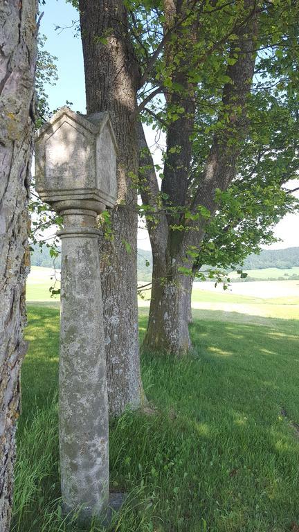 Landhaus Falkner Hofkirchen im Mühlkreis Dış mekan fotoğraf
